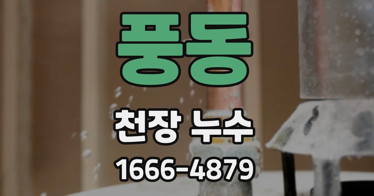 풍동 천장 누수