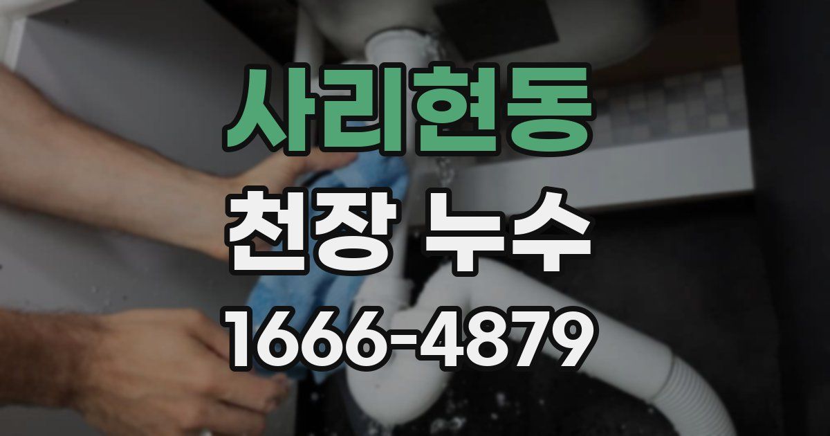 사리현동 천장 누수