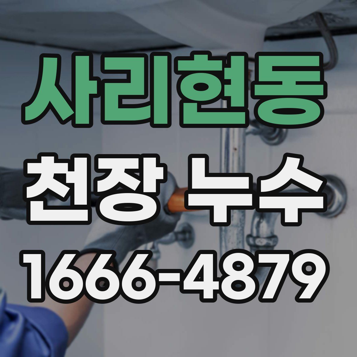 사리현동 천장 누수
