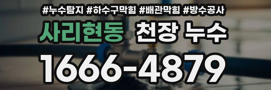 사리현동 천장 누수