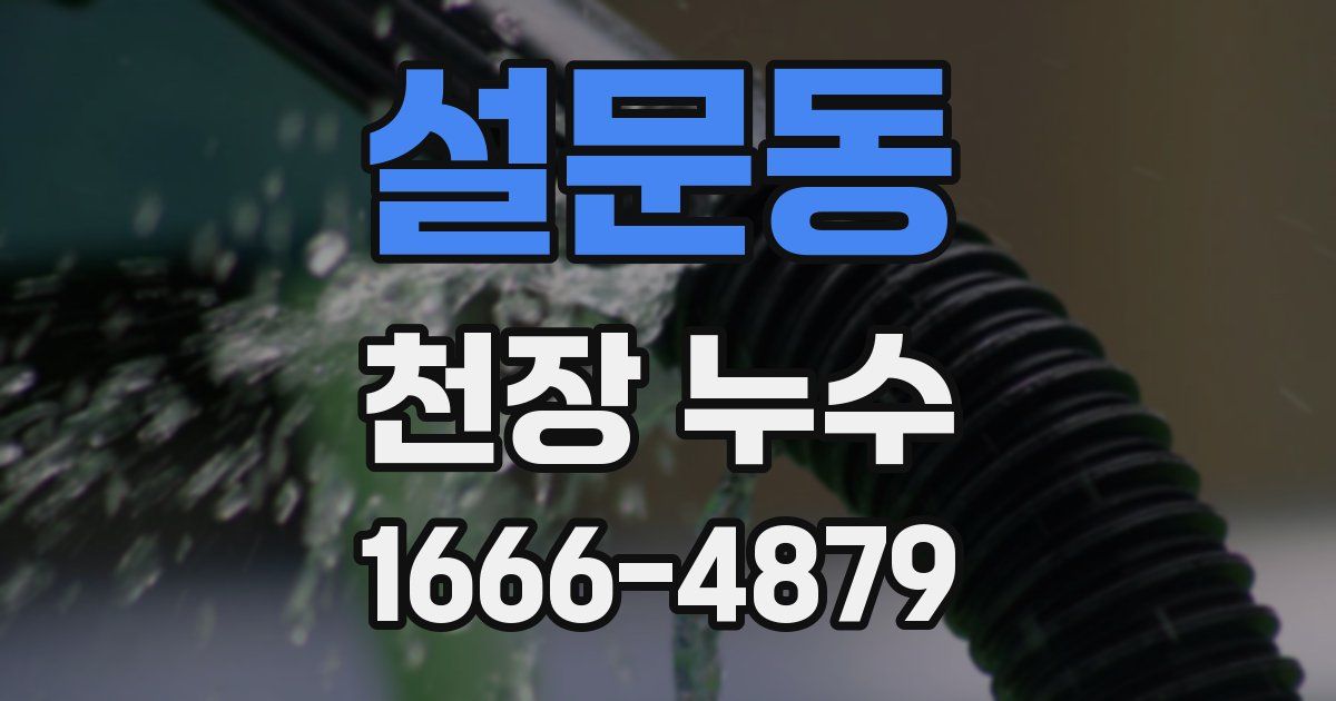 설문동 천장 누수