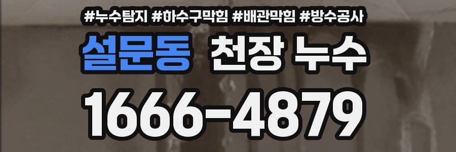 설문동 천장 누수