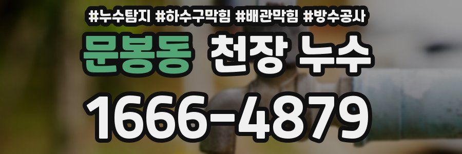 문봉동 천장 누수