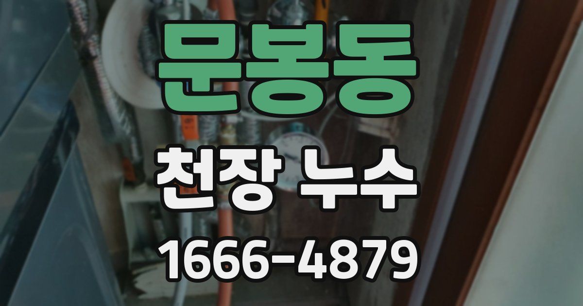 문봉동 천장 누수
