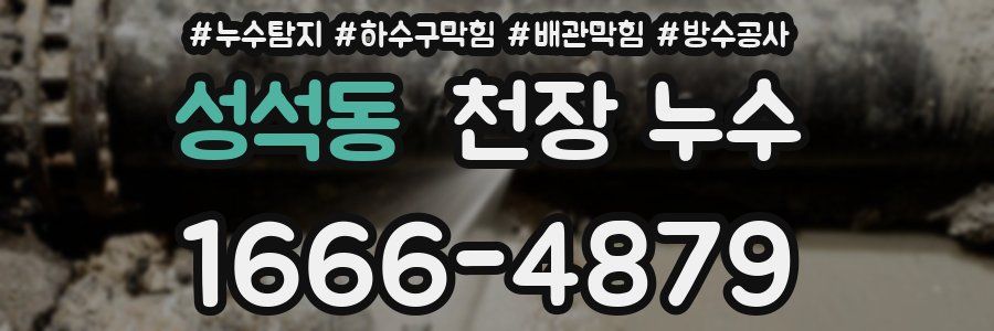 성석동 천장 누수