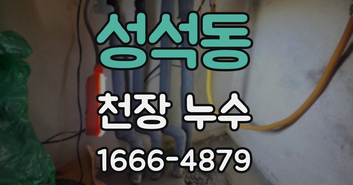 성석동 천장 누수