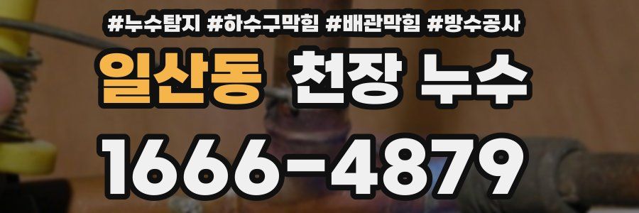 일산동 천장 누수