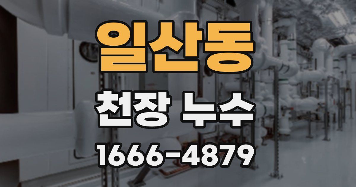 일산동 천장 누수