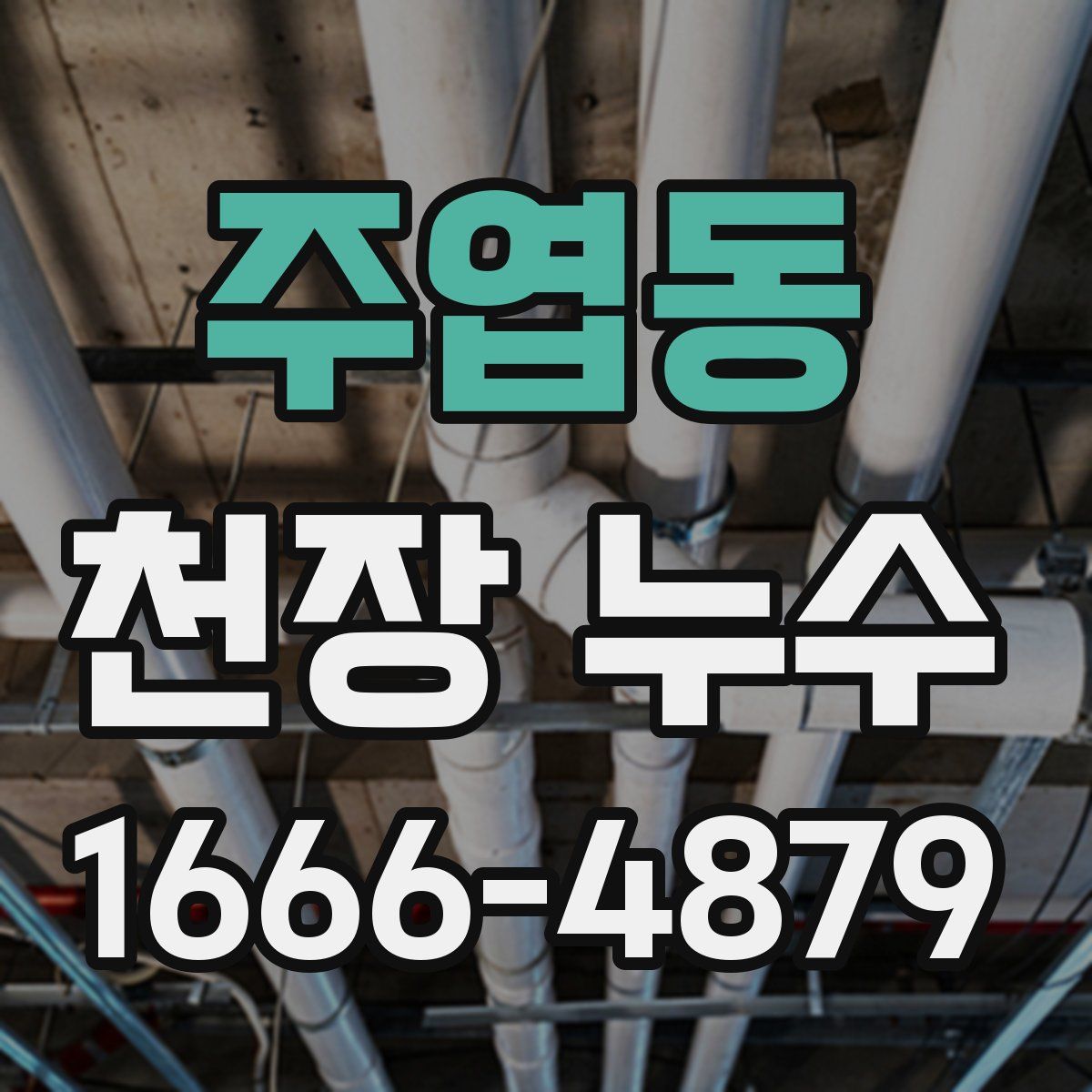 주엽동 천장 누수