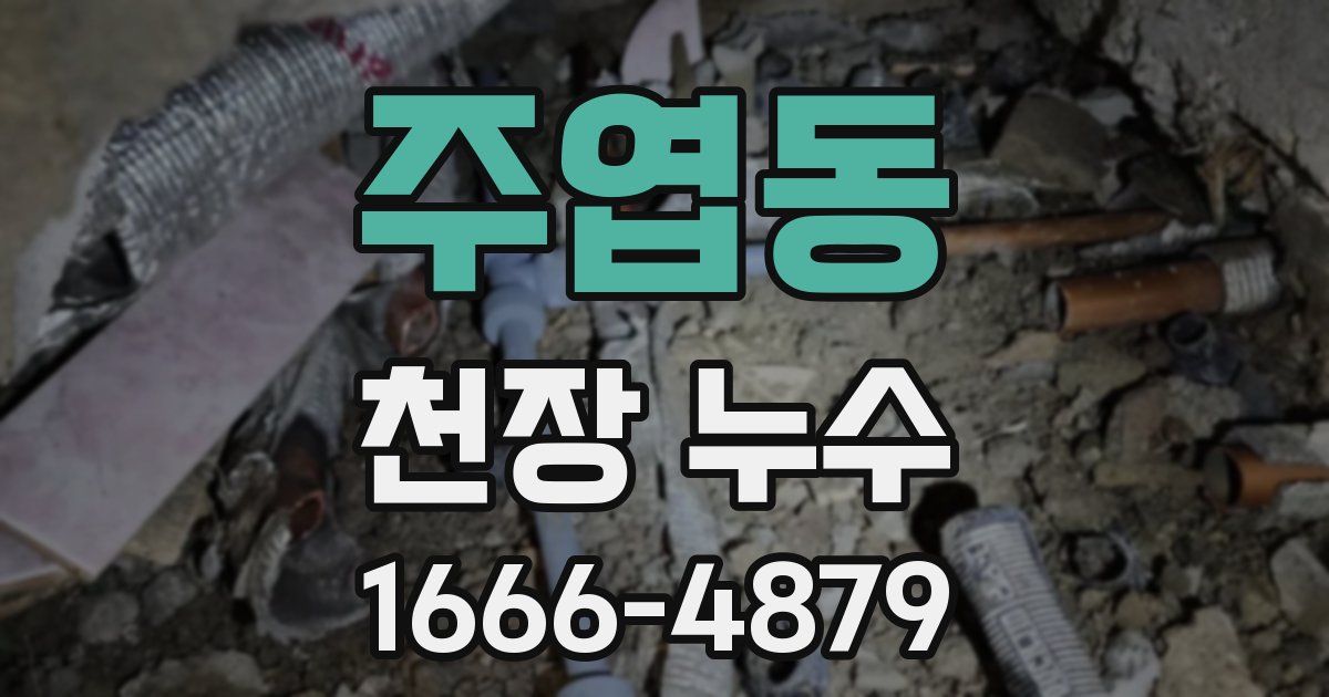 주엽동 천장 누수