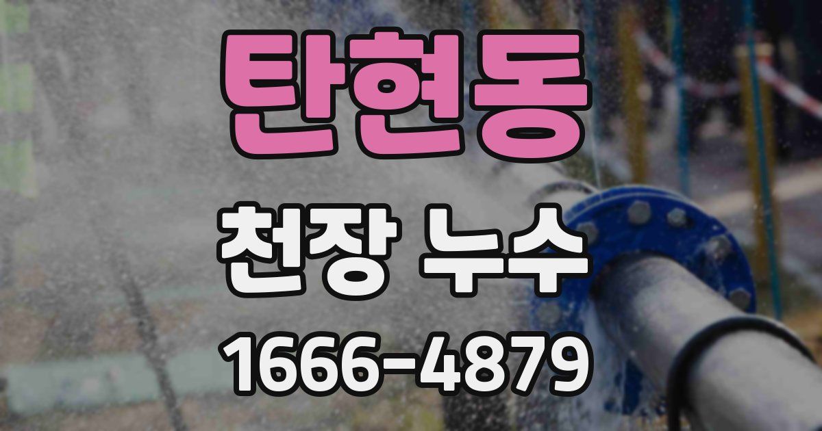 탄현동 천장 누수