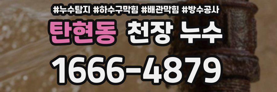 탄현동 천장 누수