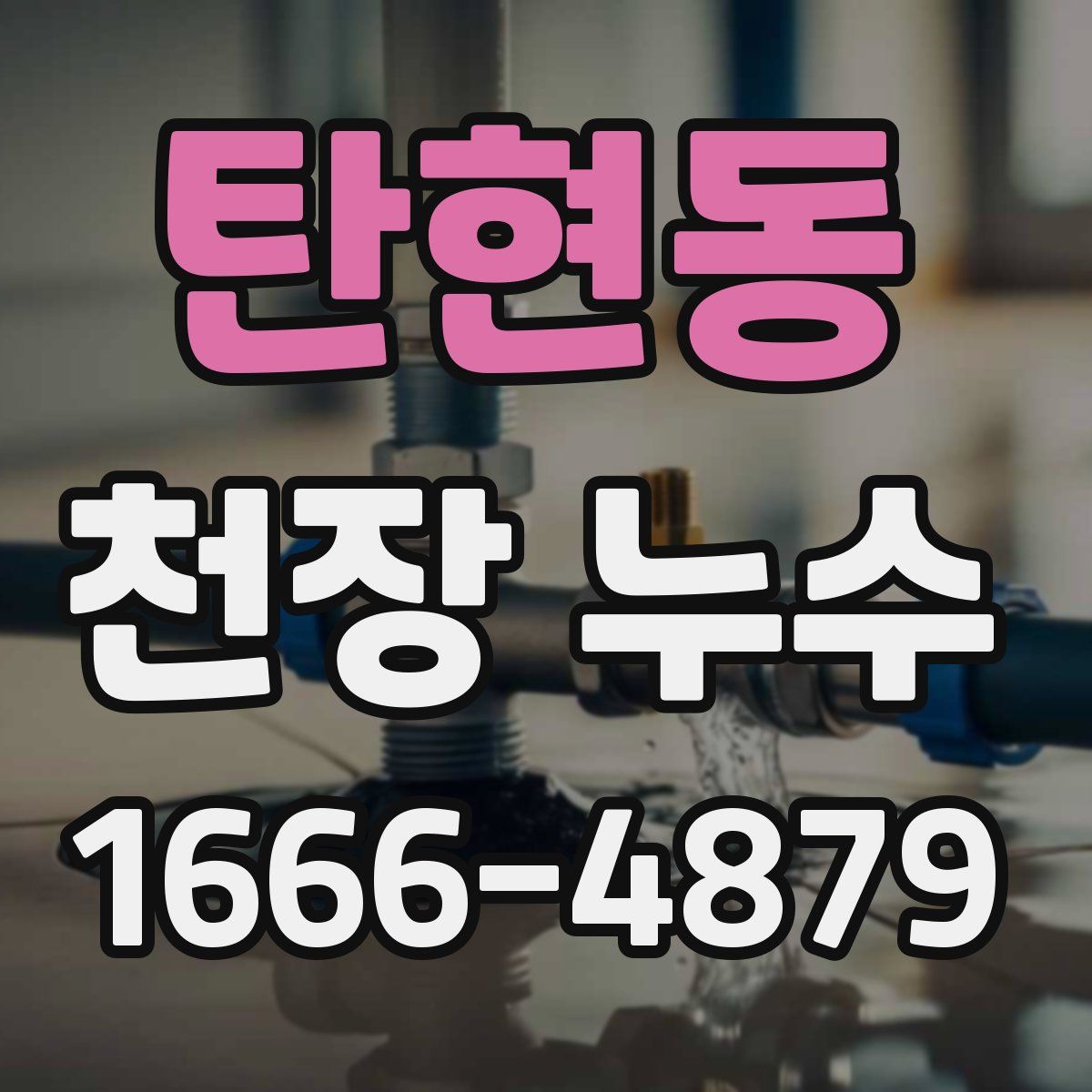 탄현동 천장 누수
