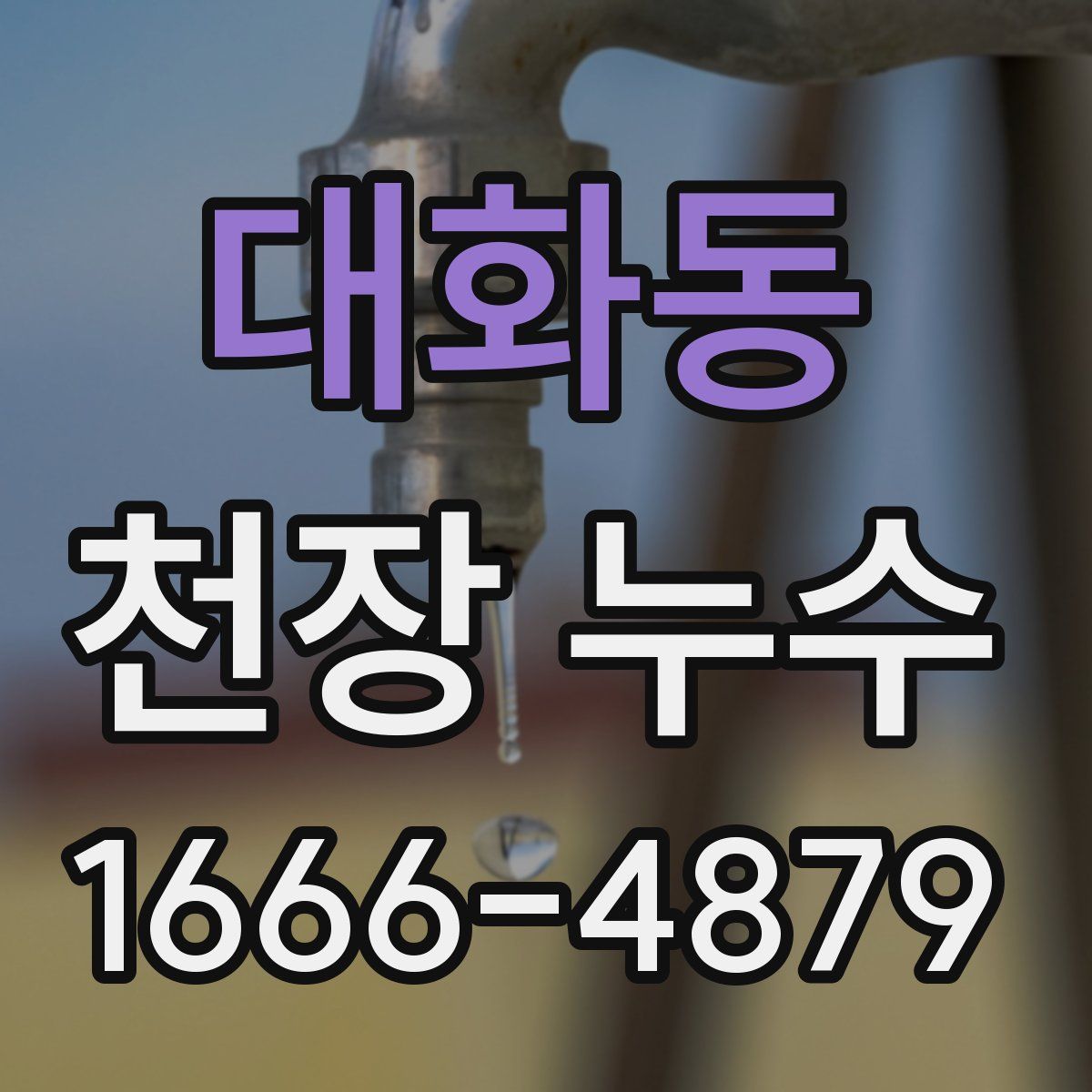 대화동 천장 누수