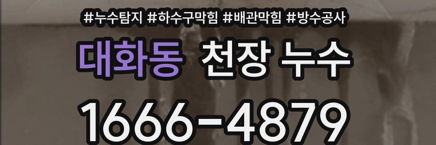 대화동 천장 누수