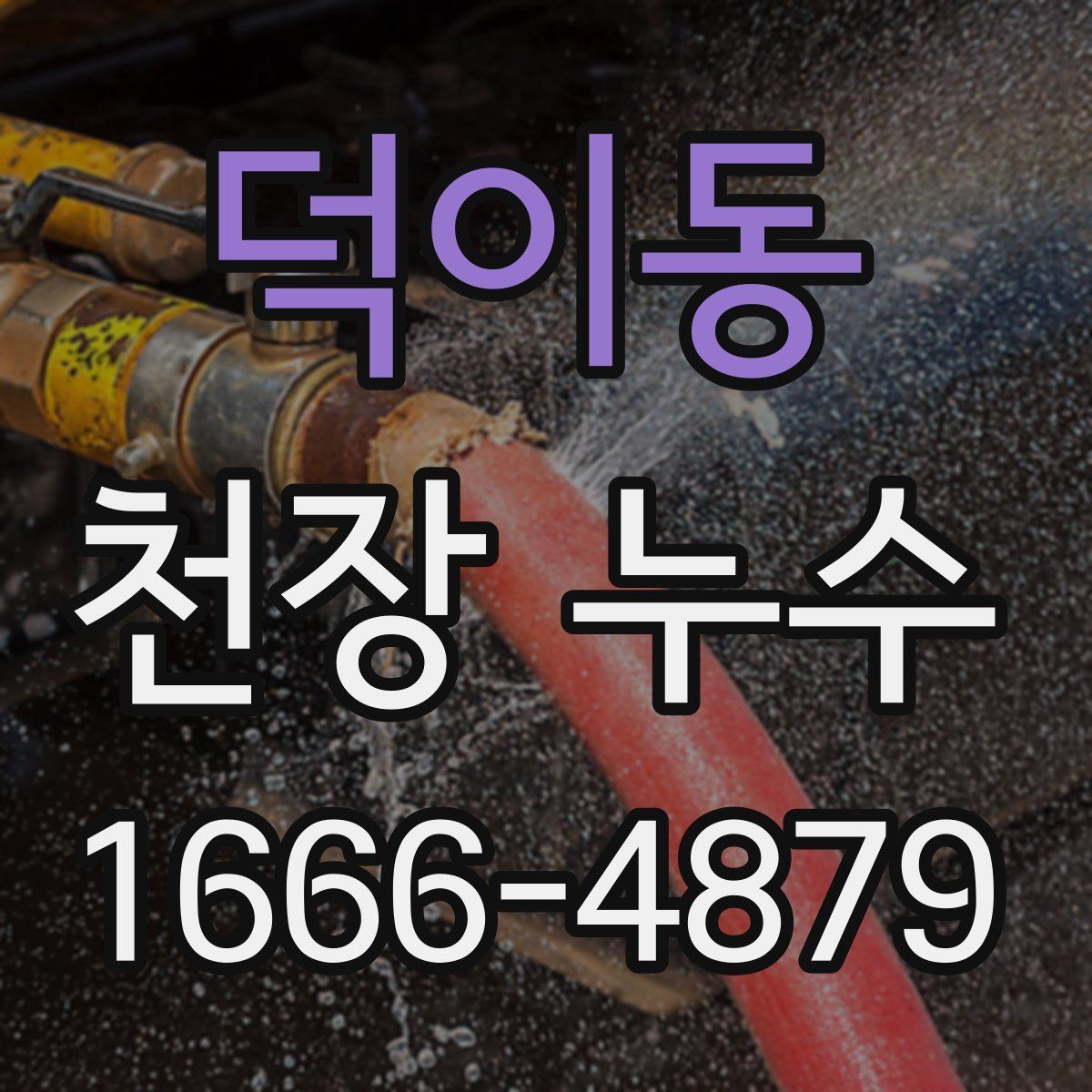 덕이동 천장 누수