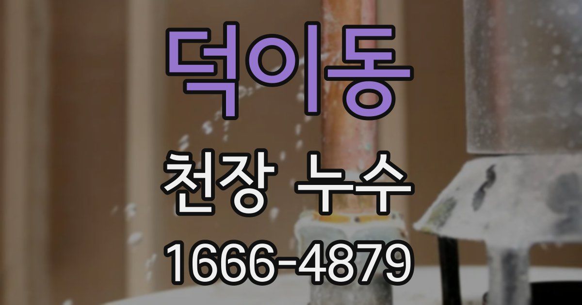 덕이동 천장 누수