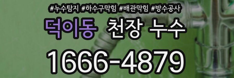 덕이동 천장 누수