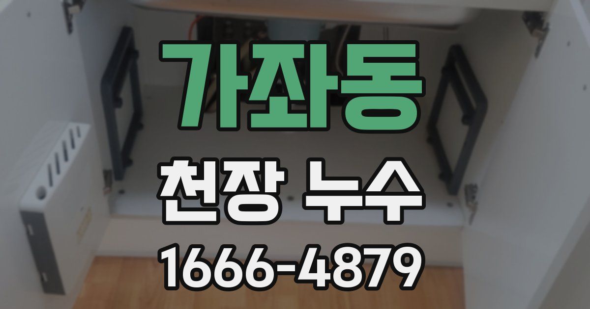가좌동 천장 누수