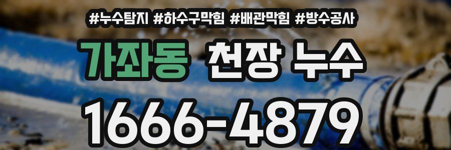 가좌동 천장 누수