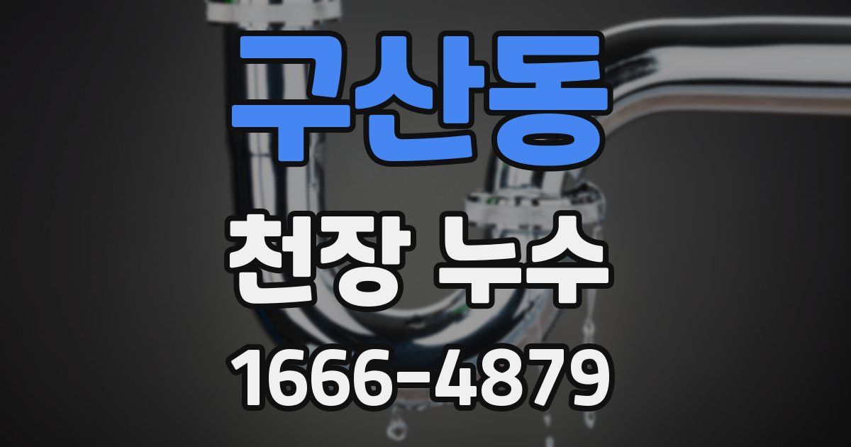 구산동 천장 누수
