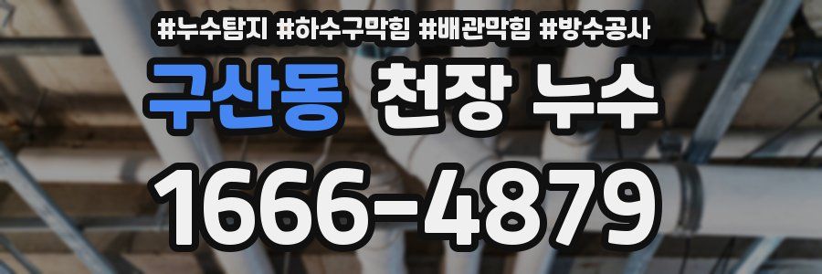 구산동 천장 누수