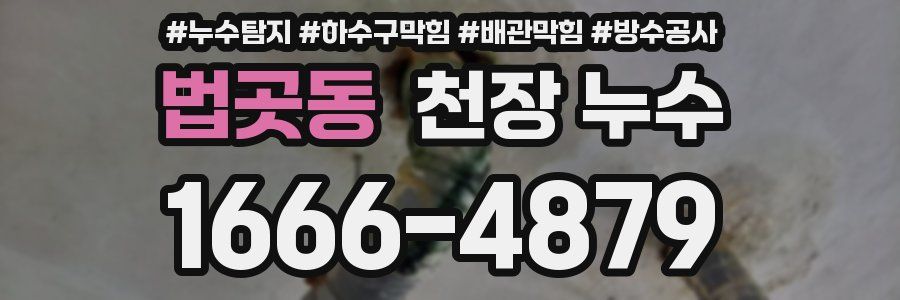 법곳동 천장 누수