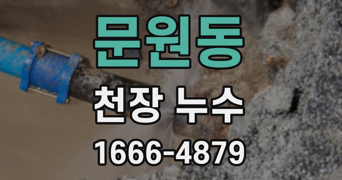 문원동 천장 누수