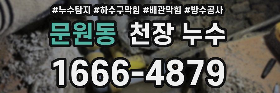 문원동 천장 누수