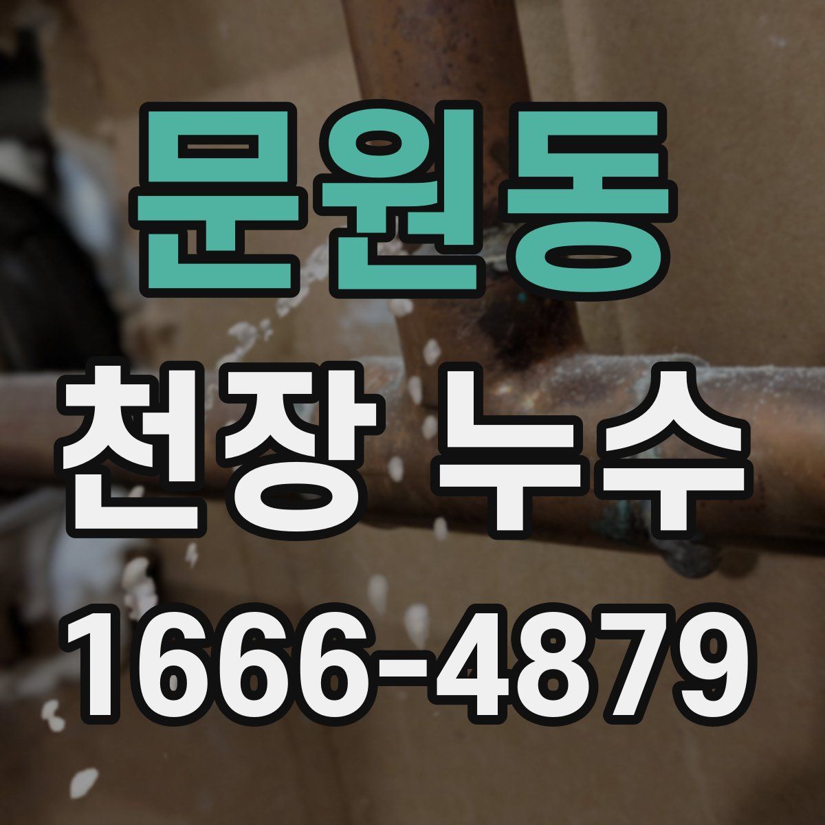 문원동 천장 누수