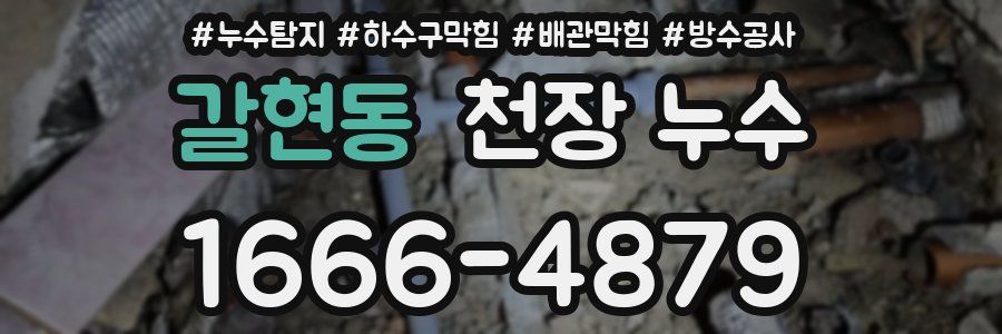 갈현동 천장 누수
