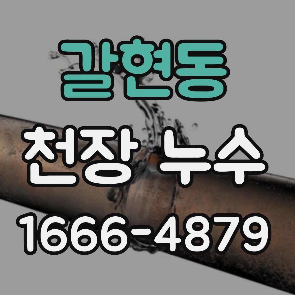 갈현동 천장 누수