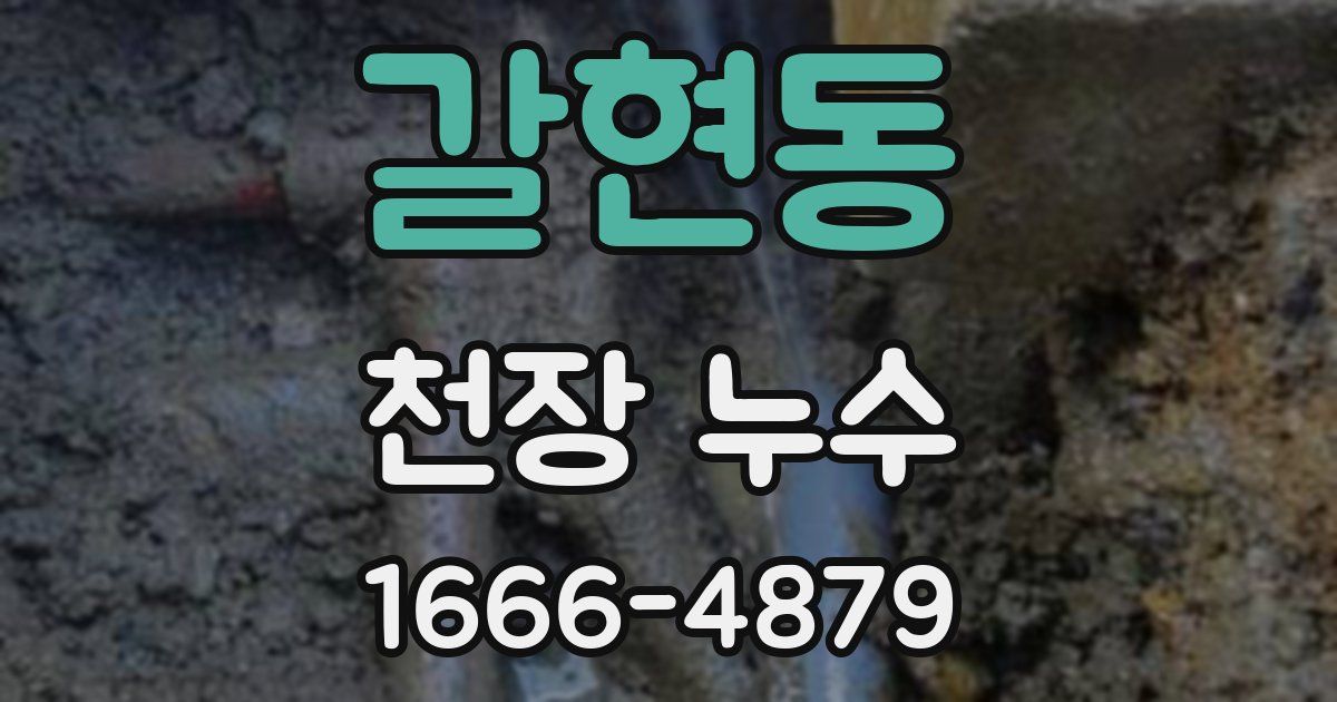 갈현동 천장 누수