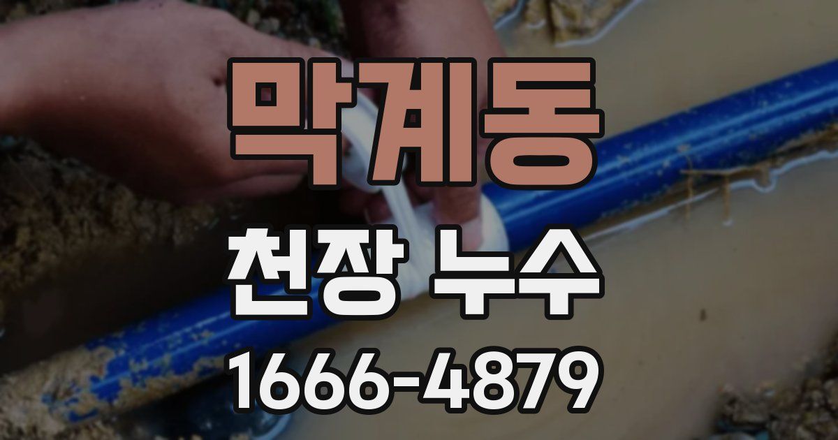 막계동 천장 누수