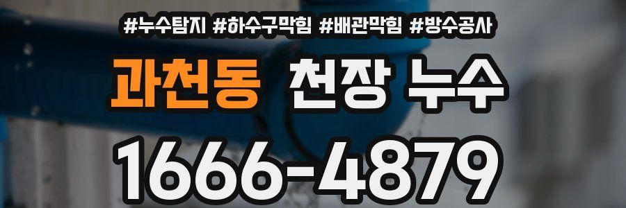 과천동 천장 누수