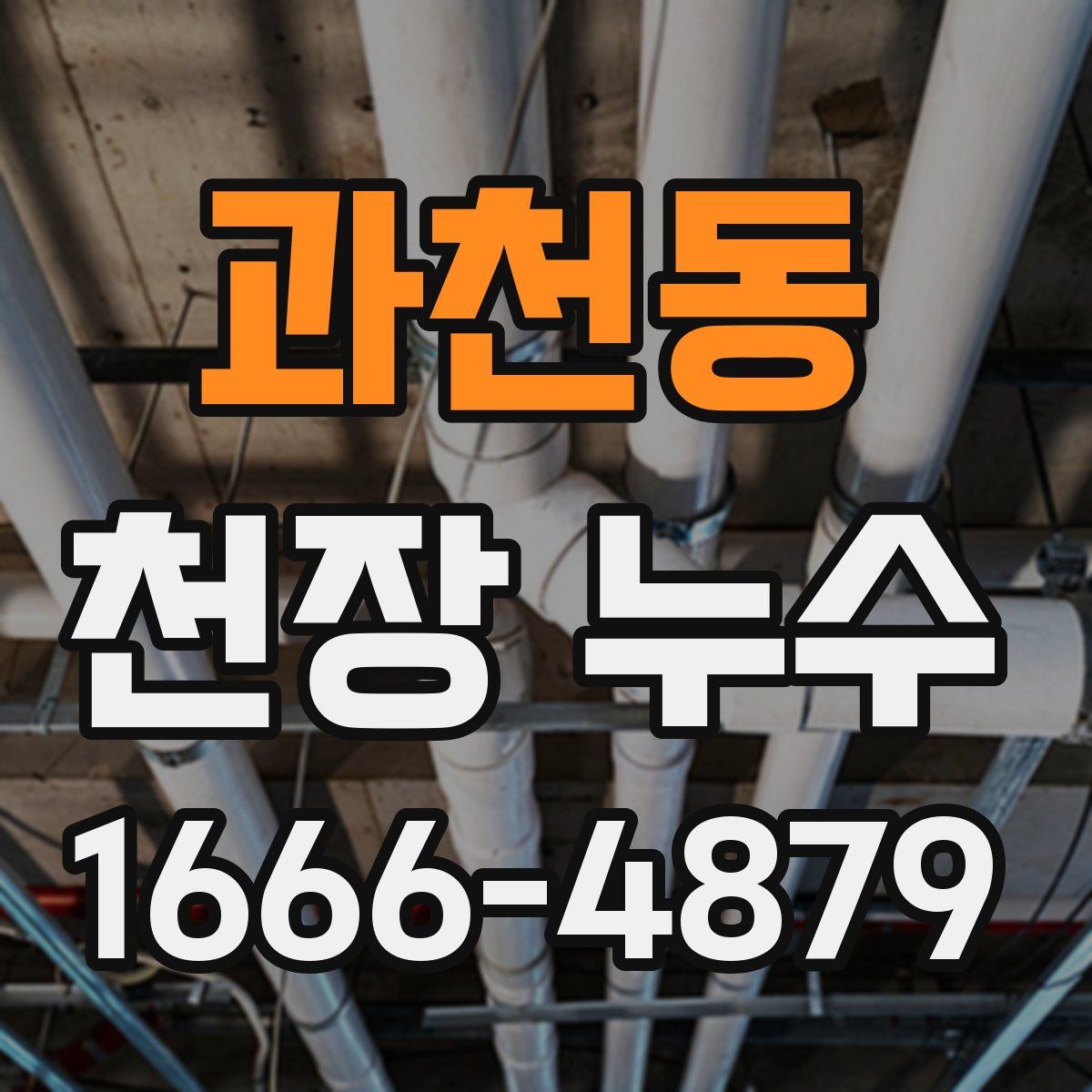 과천동 천장 누수