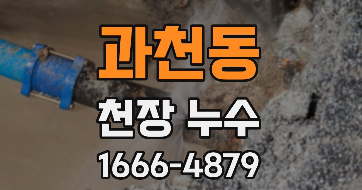 과천동 천장 누수