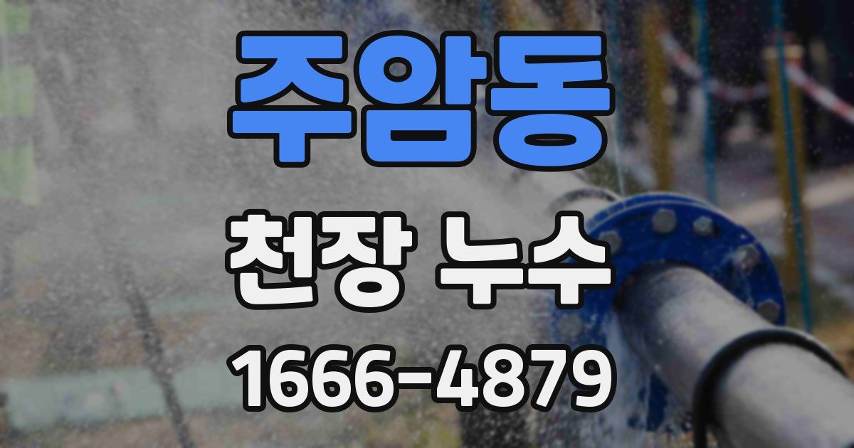 주암동 천장 누수