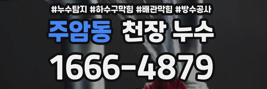 주암동 천장 누수