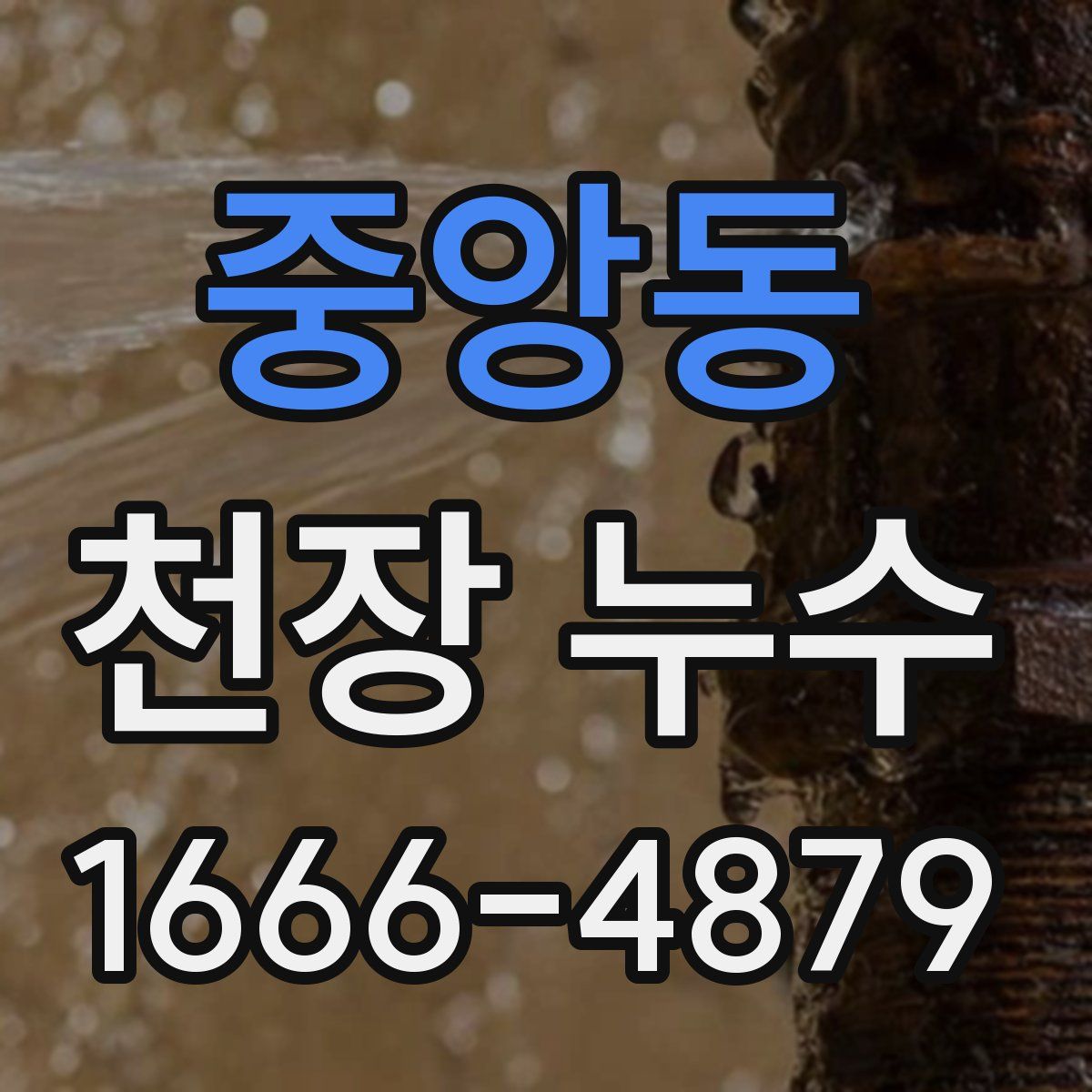 중앙동 천장 누수