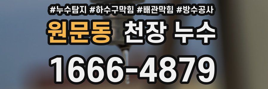 원문동 천장 누수