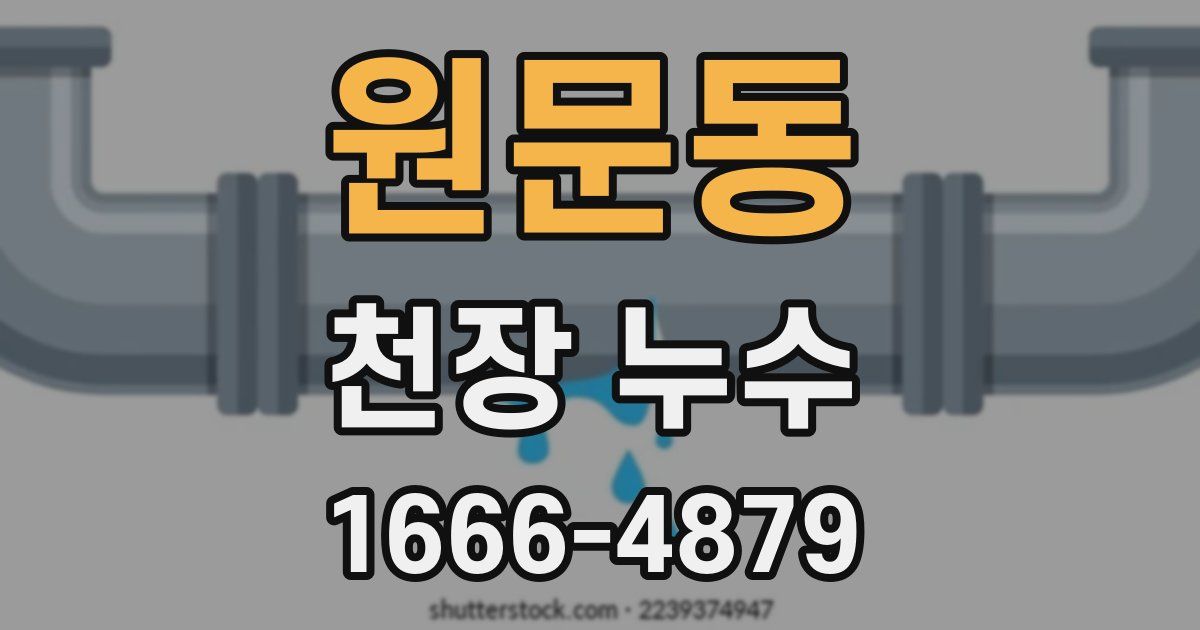원문동 천장 누수