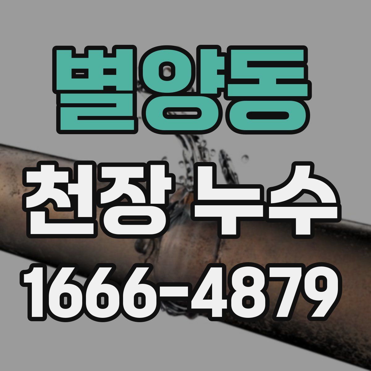 별양동 천장 누수