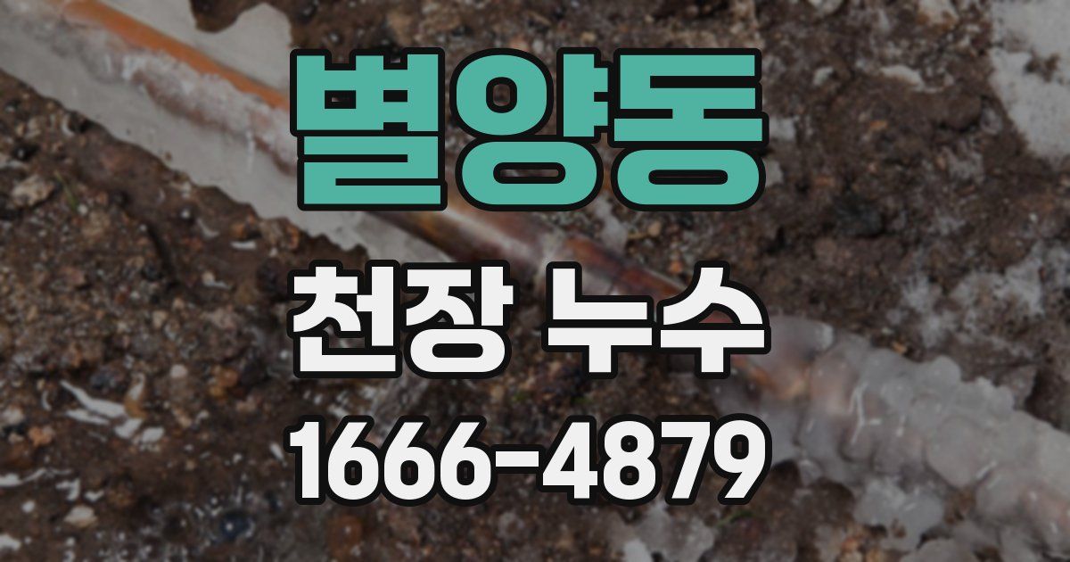 별양동 천장 누수