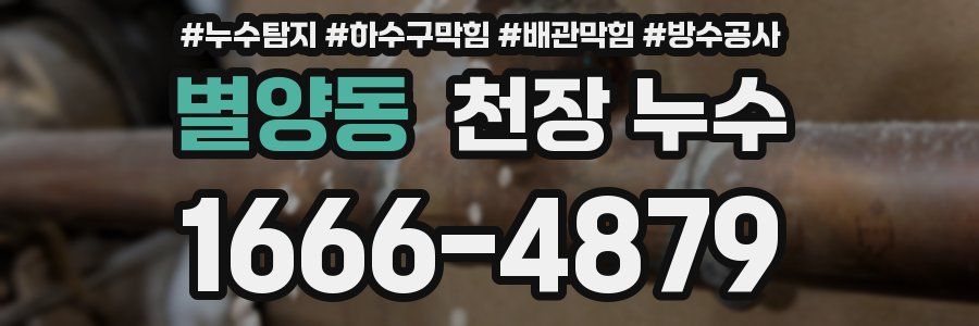 별양동 천장 누수