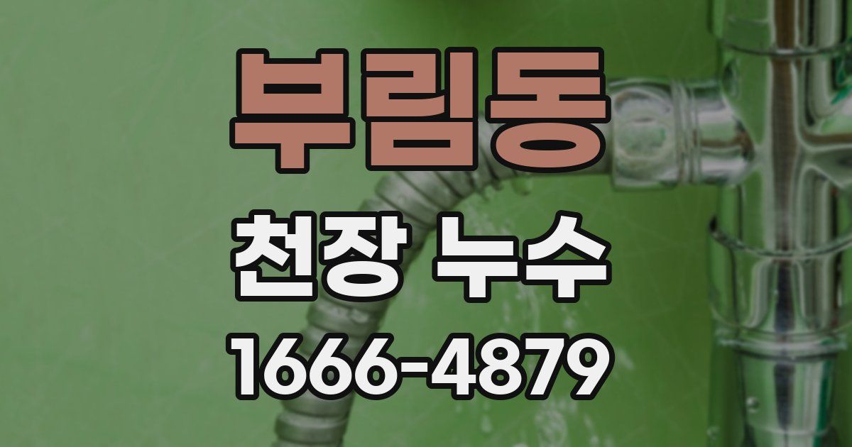부림동 천장 누수