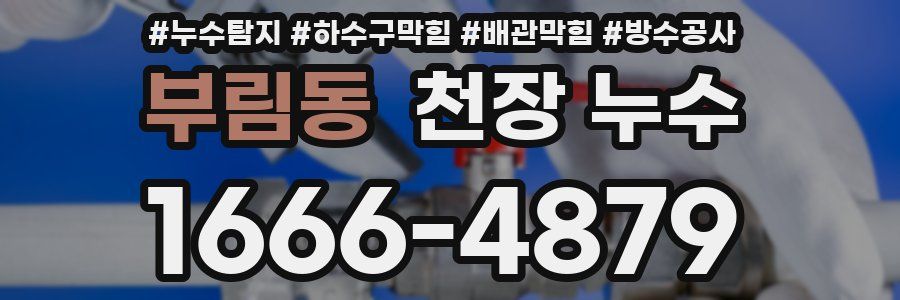부림동 천장 누수