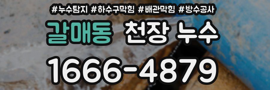 갈매동 천장 누수