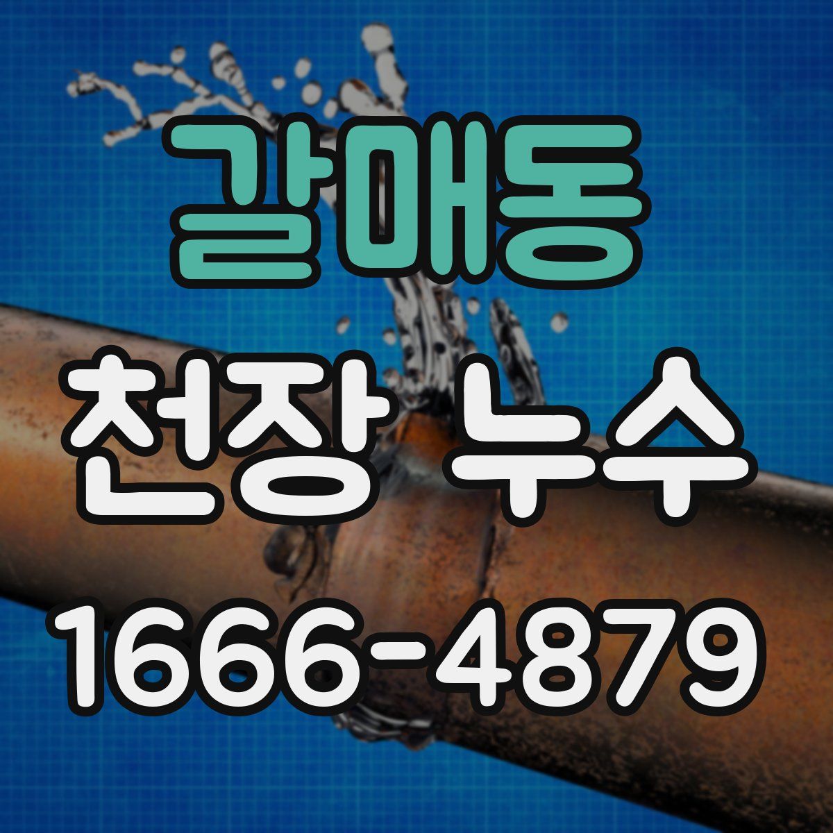 갈매동 천장 누수