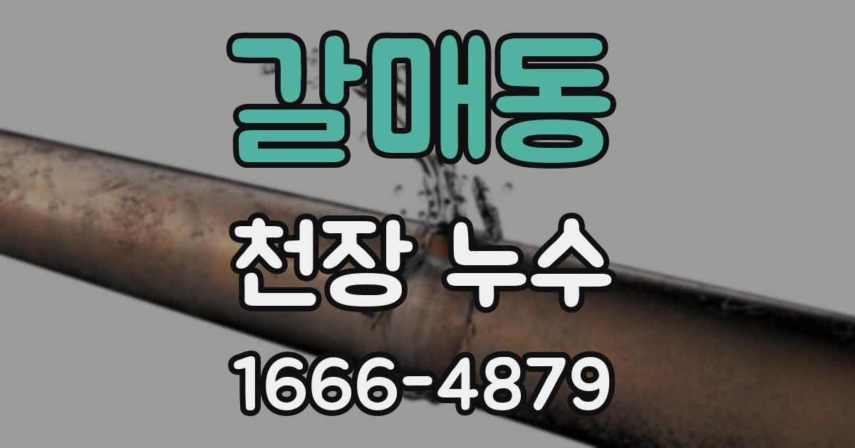 갈매동 천장 누수